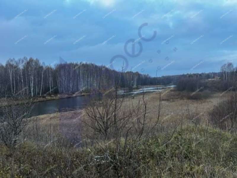 земельный участок 2 000 соток деревня Фефелиха